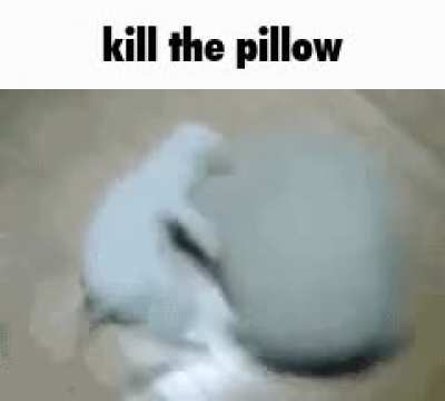 Rule