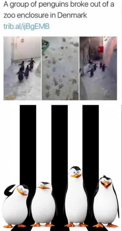Smile and wave boys