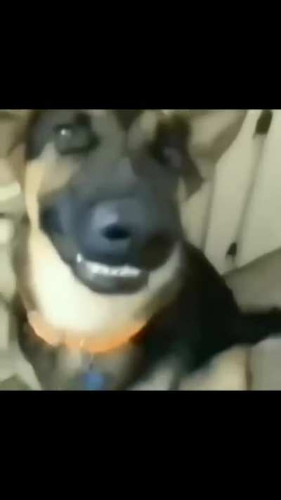 Y recuerden amiguitos, sonrianle a los humos...