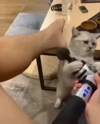 Using an impulse massager on a pussy
