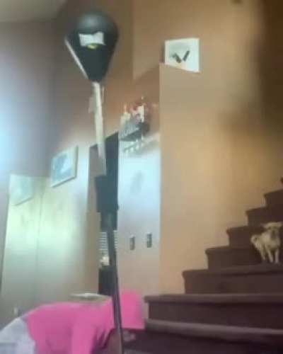 HMC WHILE I BOX
