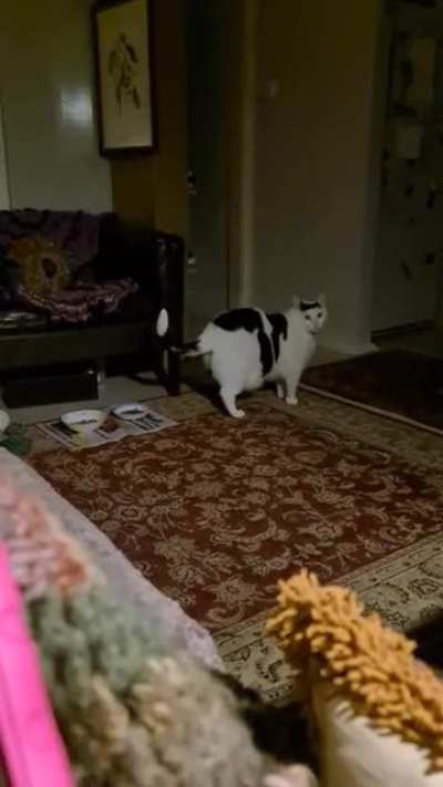 Я: *хожу по магазину и просто смотрю* Охранник: