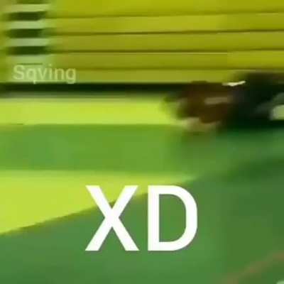 XD
