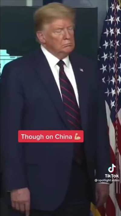 Lost Reddit user posts trumptok to WSB