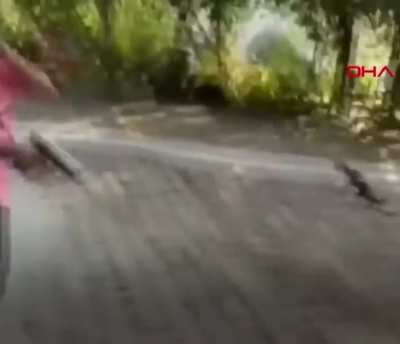 idiot parents, why you shouldn't give a gun to kids