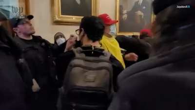 New Video angle shows Cops walking away and letting mob break into the Capitol, Domestic Terrorist Babbit getting shot.