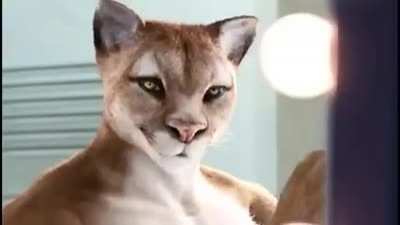 Furro?