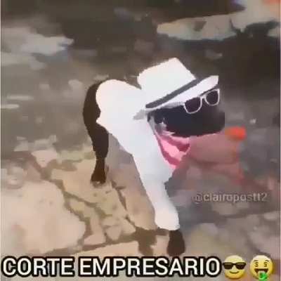 Siempre facha 😎