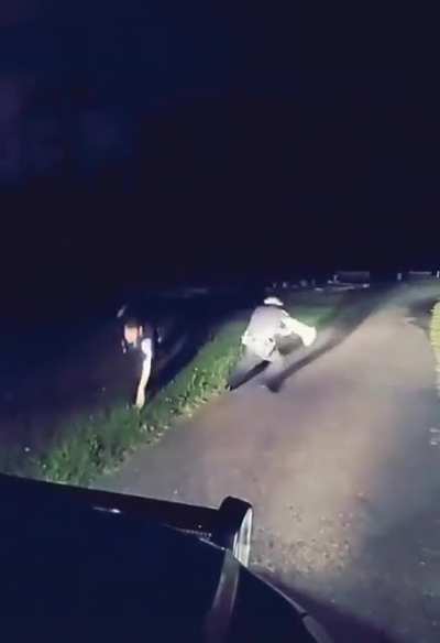 To investigate