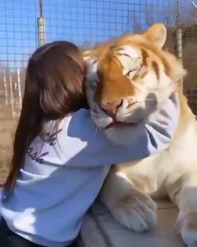Big scritches