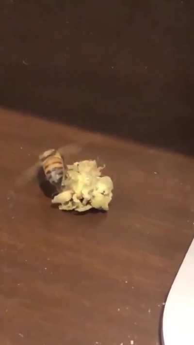 You spin me right round baby