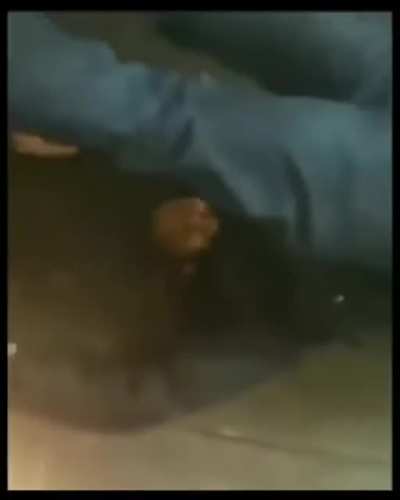 He is trying to earn that wheelchair