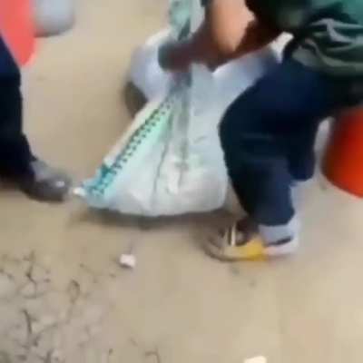 kyu kya laga tha