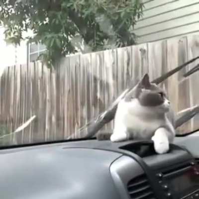 Wiper alert