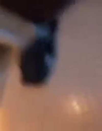 the dangle