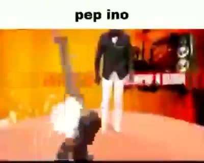 P E P I N O
