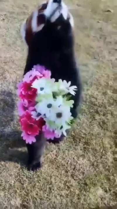 Hide your wife!