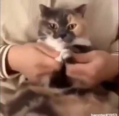 Wunkus got moves
