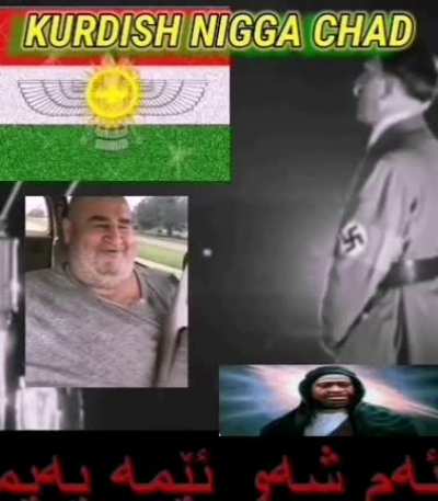 kurdish nibba chad