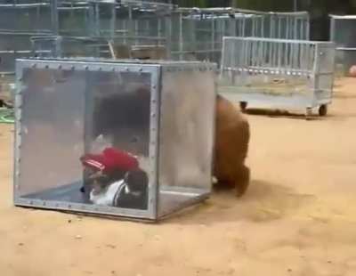 Да как откры<wbr>ваетс<wbr>я эта консе<wbr>рва?