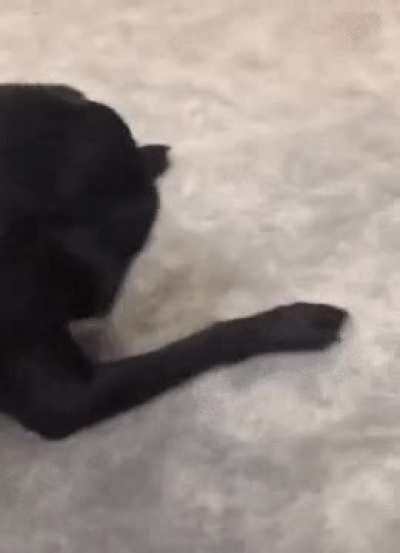 “Where’d my ball go?!”