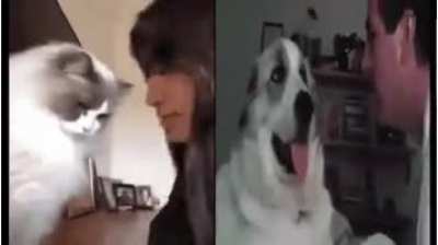Who did it better?
