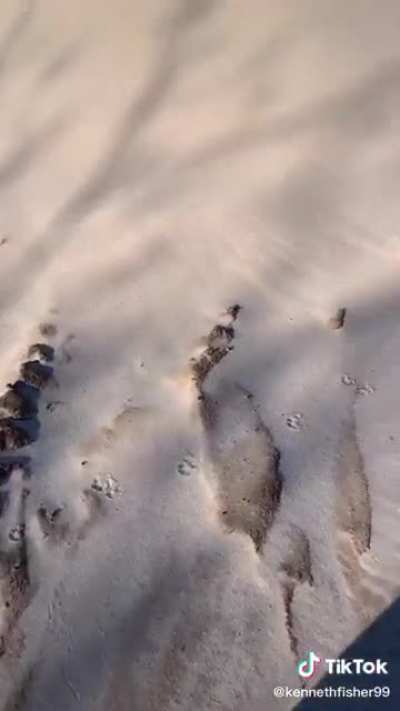 Brick thrown into a sand pile