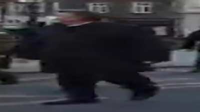 Wide Plenky walking, but he's always in frame