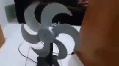 Explica vai quere vê