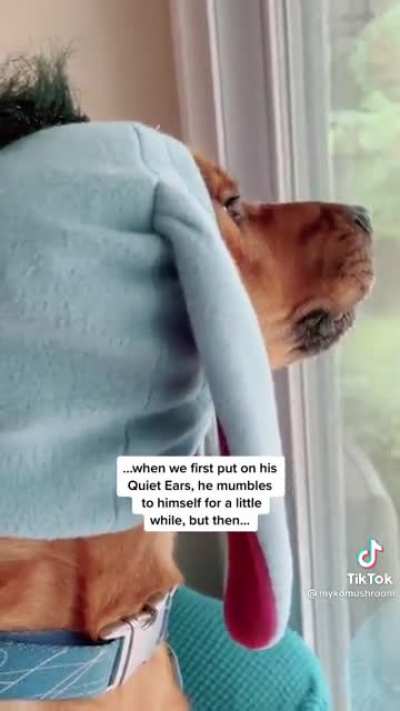 Woof muffler