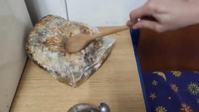 Cursed bread