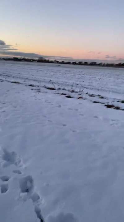 I recorded this when i was on a walk a few weeks ago but forgot to post it