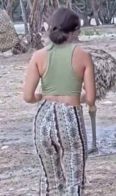 Recent clip of Mayas ass