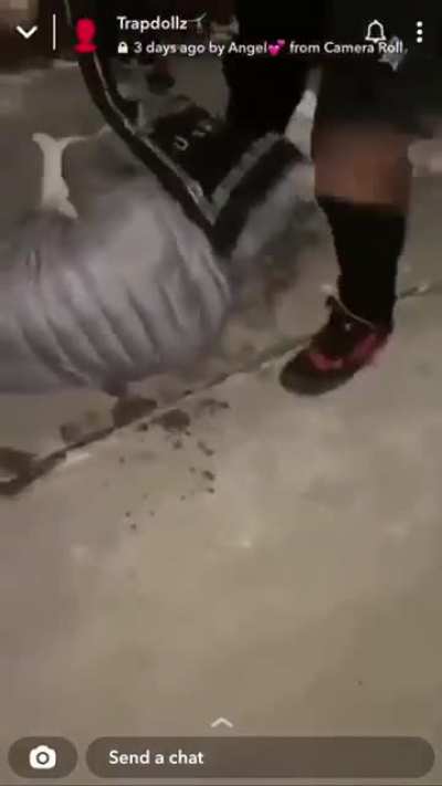 Damn