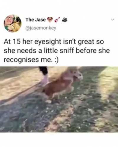 I’m not crying, you are