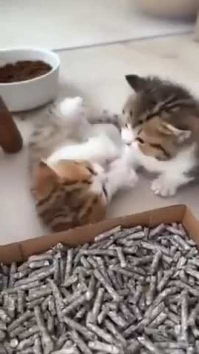 Very cute