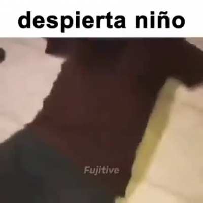 Shi