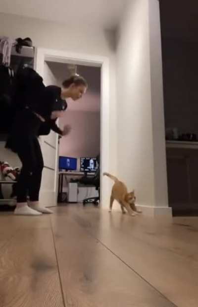 Let me show you an exercise