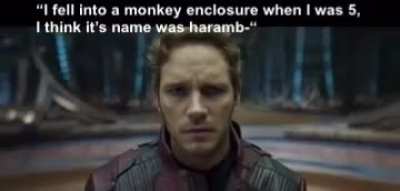 🐵🐵🦍🦍
