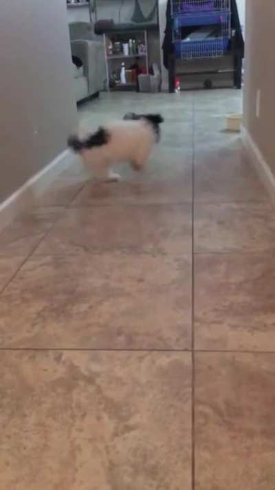 You’ve been hit by... you’ve been struck by... a smooth criminal