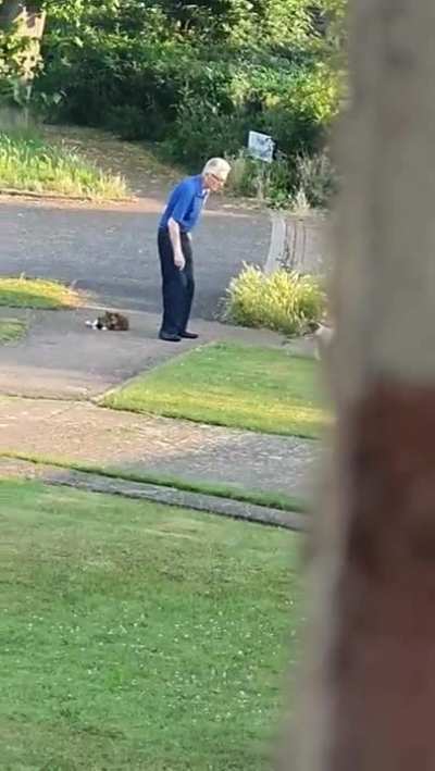 Old man saves cat that had been attacked by dog.
