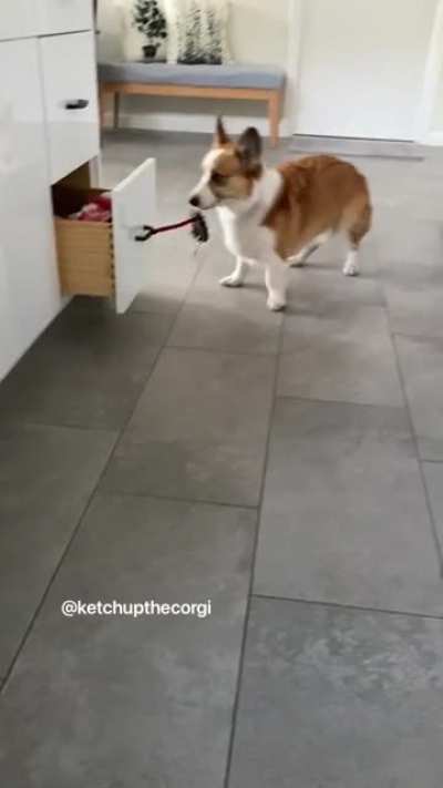 How will the human survive without me?