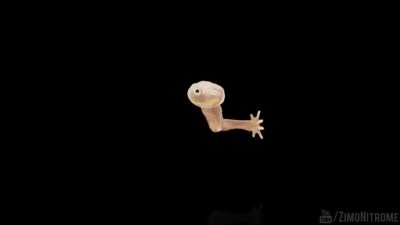 Przyjacielskie przypomnienie ( ͡° ͜ʖ ͡°)