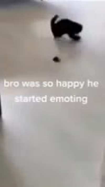I'm 15 and this is yeet