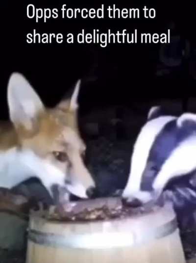 altruistic wunks