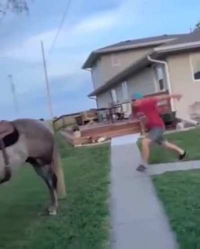 That tailspin tho.