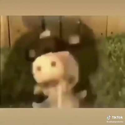C U M