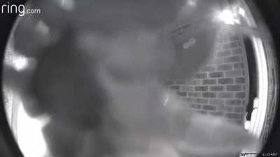 Definitely a ghost