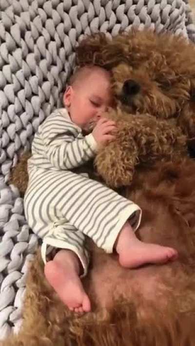 Just a cuddle is what I need