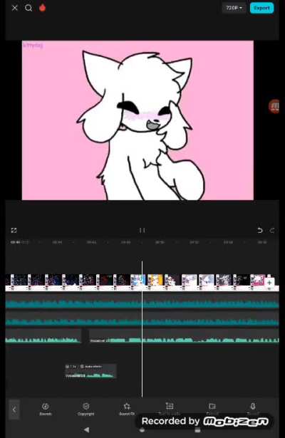 Shit cover idk